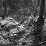 taková ranní 2 ....