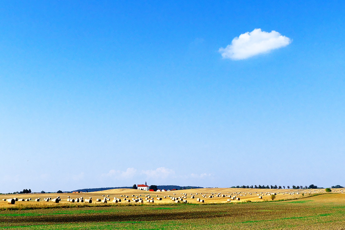 Horní Ředice