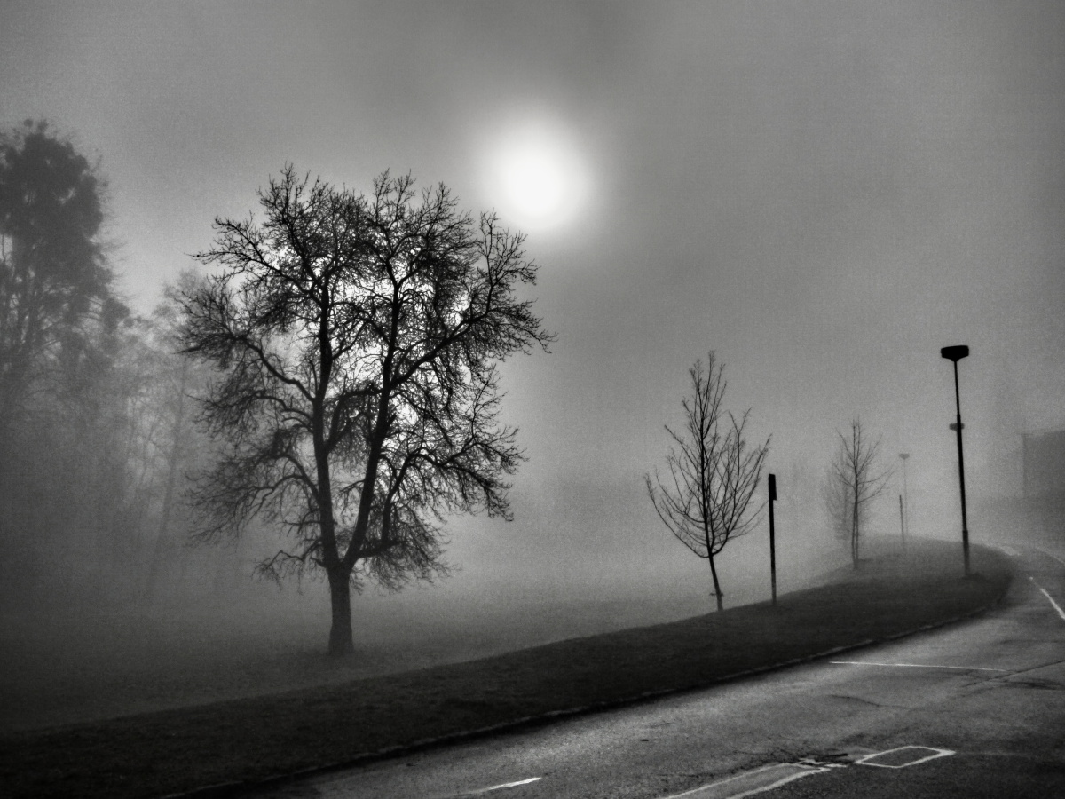 Za mlhou hustou tak, ......