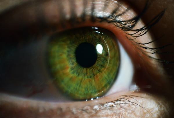 Eye