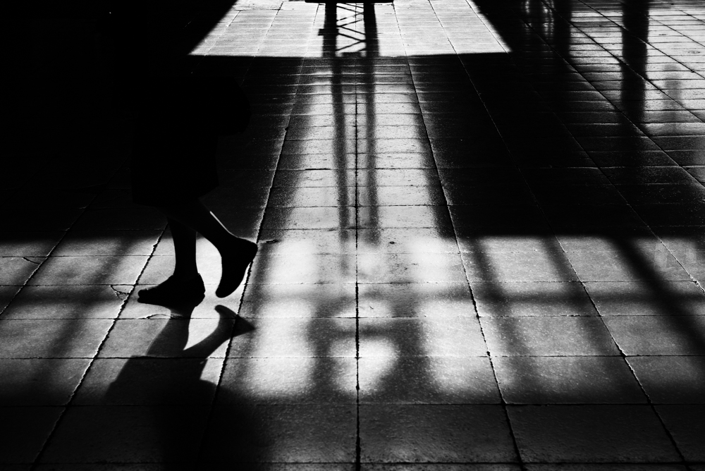 MoML 29. května 2015