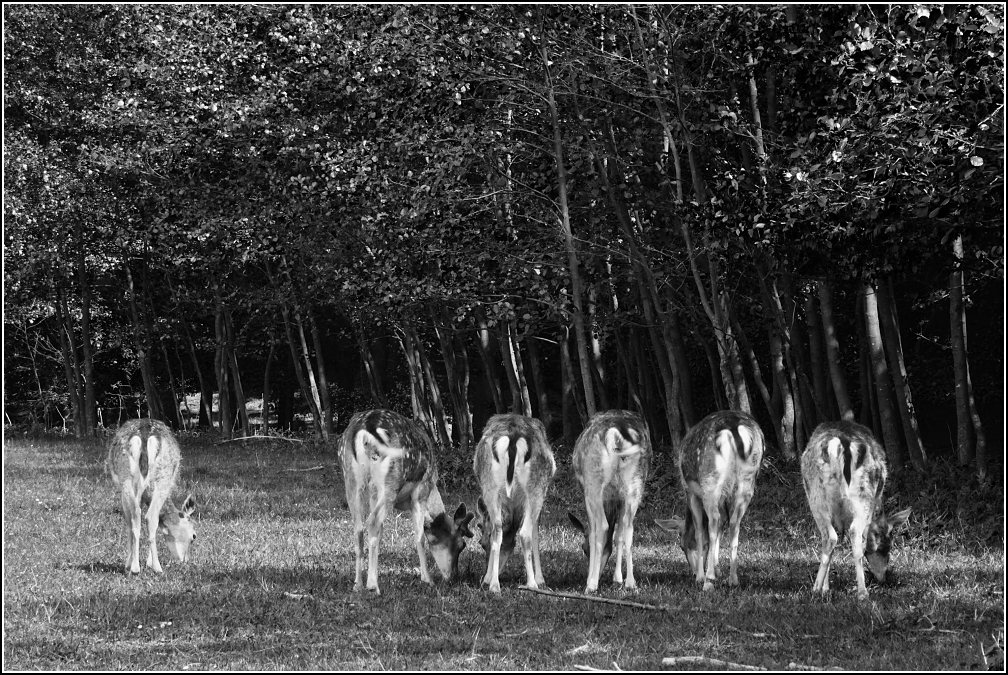 My vám na to focení ...