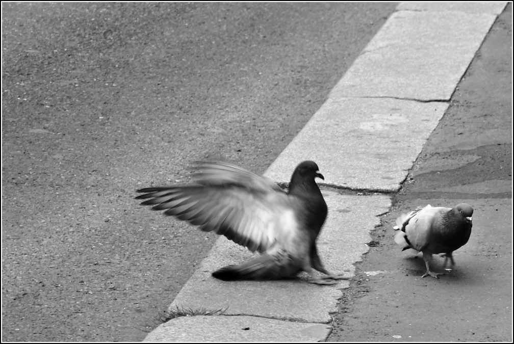 Kruci, to neubrzdím ...