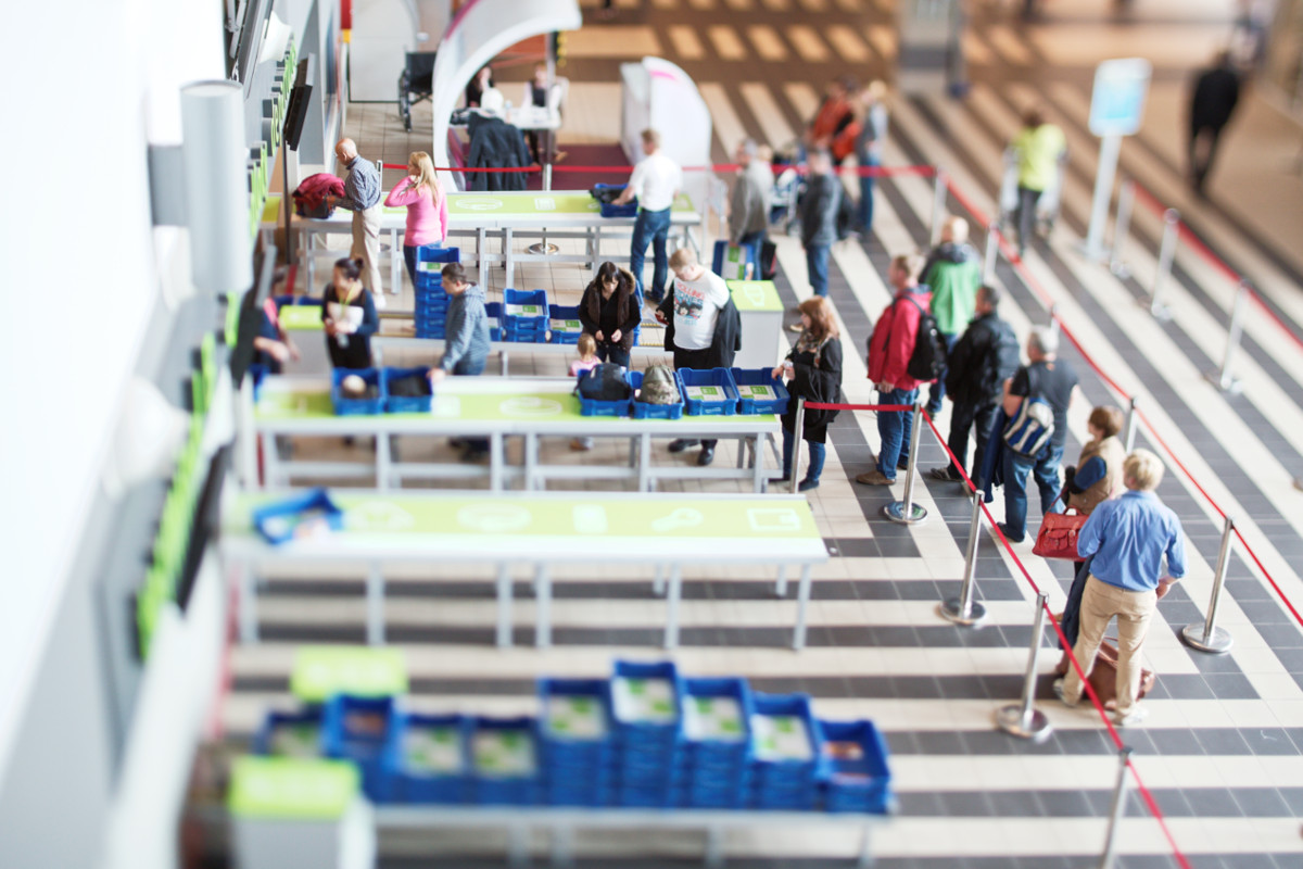 Mraveniště, hemžení