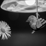 Slunce je život ...