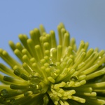 Triáda aneb "what the hell is that ?" :-)