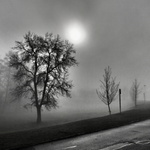 Za mlhou hustou tak, ......