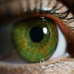 Eye