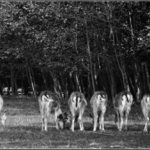 My vám na to focení ...