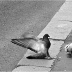 Kruci, to neubrzdím ...