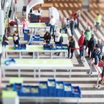 Mraveniště, hemžení