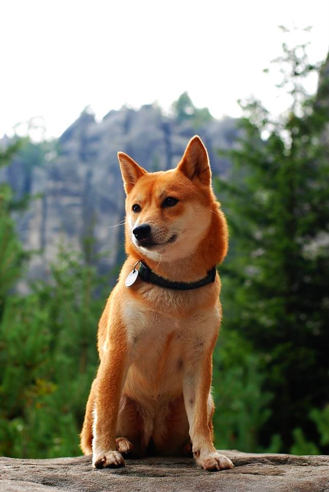 Modelka Fumiko al Nasija