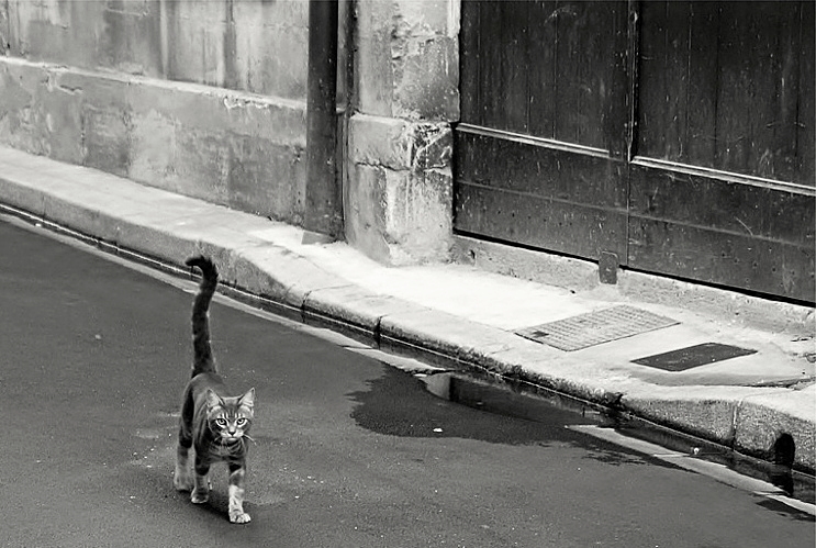 pohľad z očí do očí