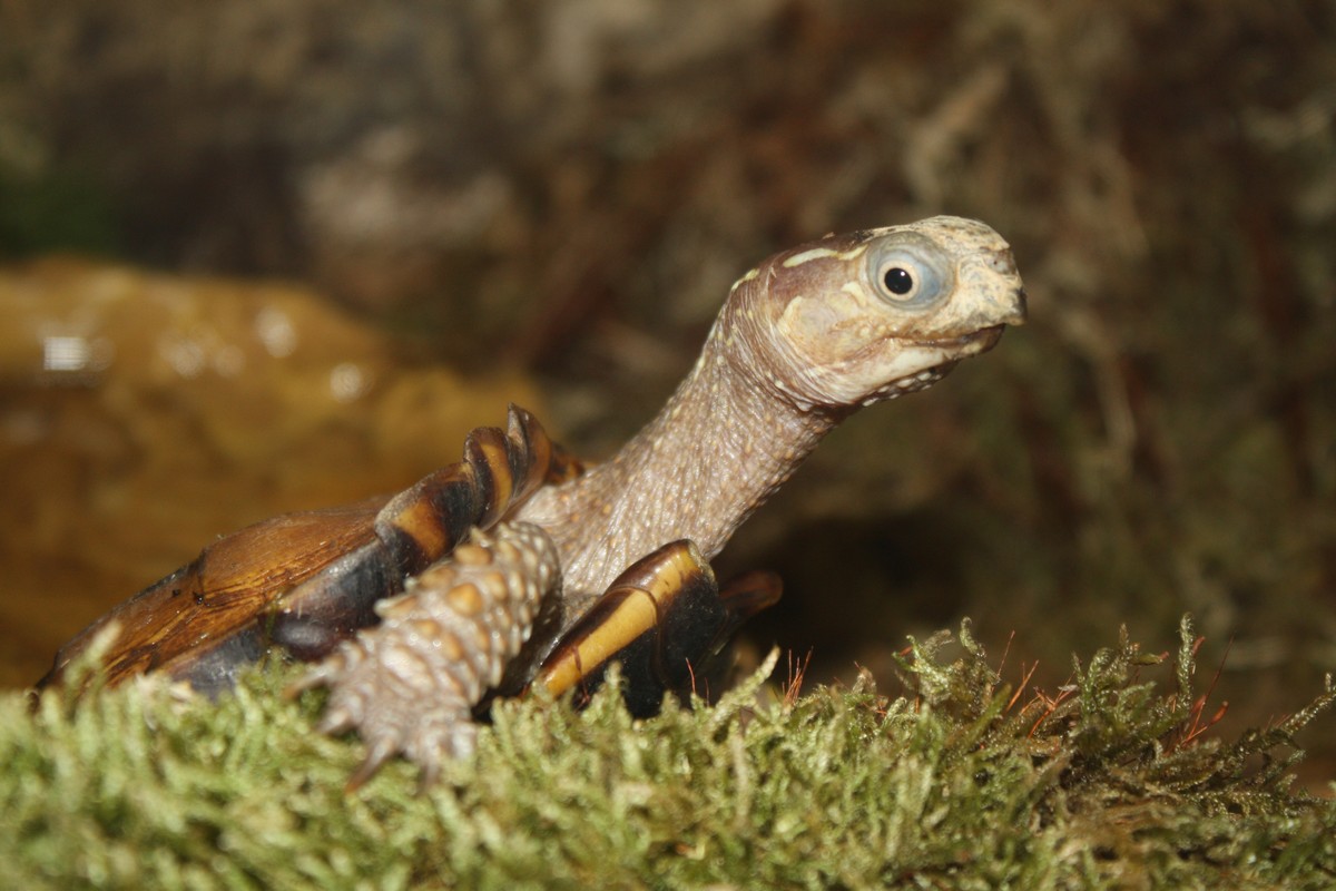 ZOO PLZEŇ