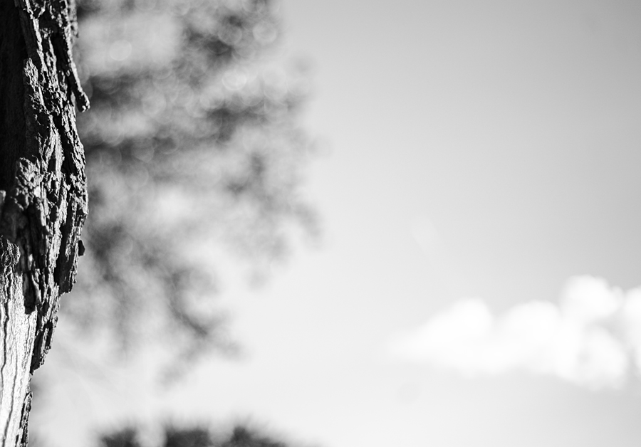 zena lezici u stromu