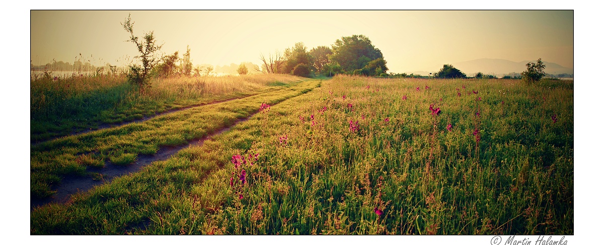 Svítání na Pálavě