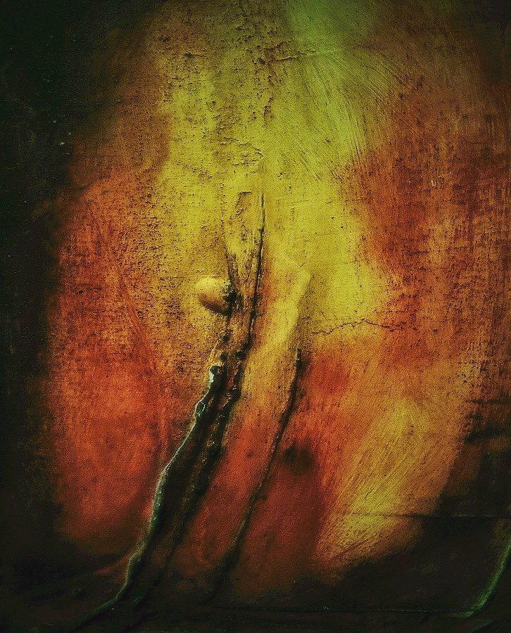 vyrůstám z kořenů