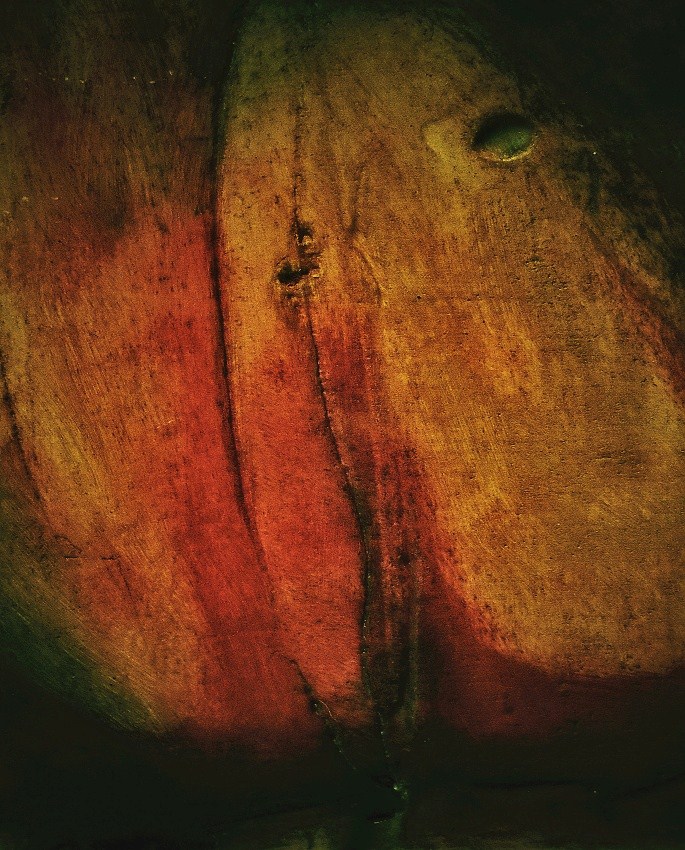 vyrůstám z kořenů II.