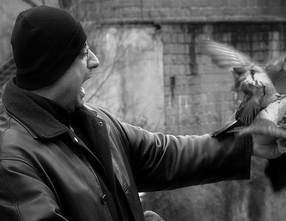 ne Sergeji, ani v KV nelétají holubi...