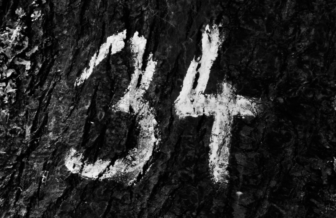 34