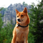 Modelka Fumiko al Nasija