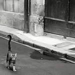 pohľad z očí do očí