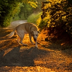 Stačilo, ja končím ! ... :)