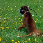 dostal jsem smyka no...