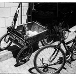 cycle auto