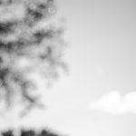 zena lezici u stromu