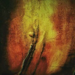 vyrůstám z kořenů