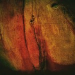 vyrůstám z kořenů II.