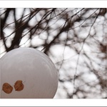 Romeo a Julie na konci listopadu