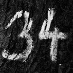 34