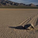 Racetrack Playa - dostihy