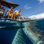 Velrybáci pod bagánem