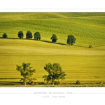 ...podvečer na počátku léta...