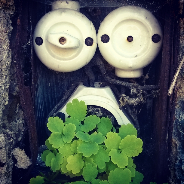 "Vegetarian hangover"