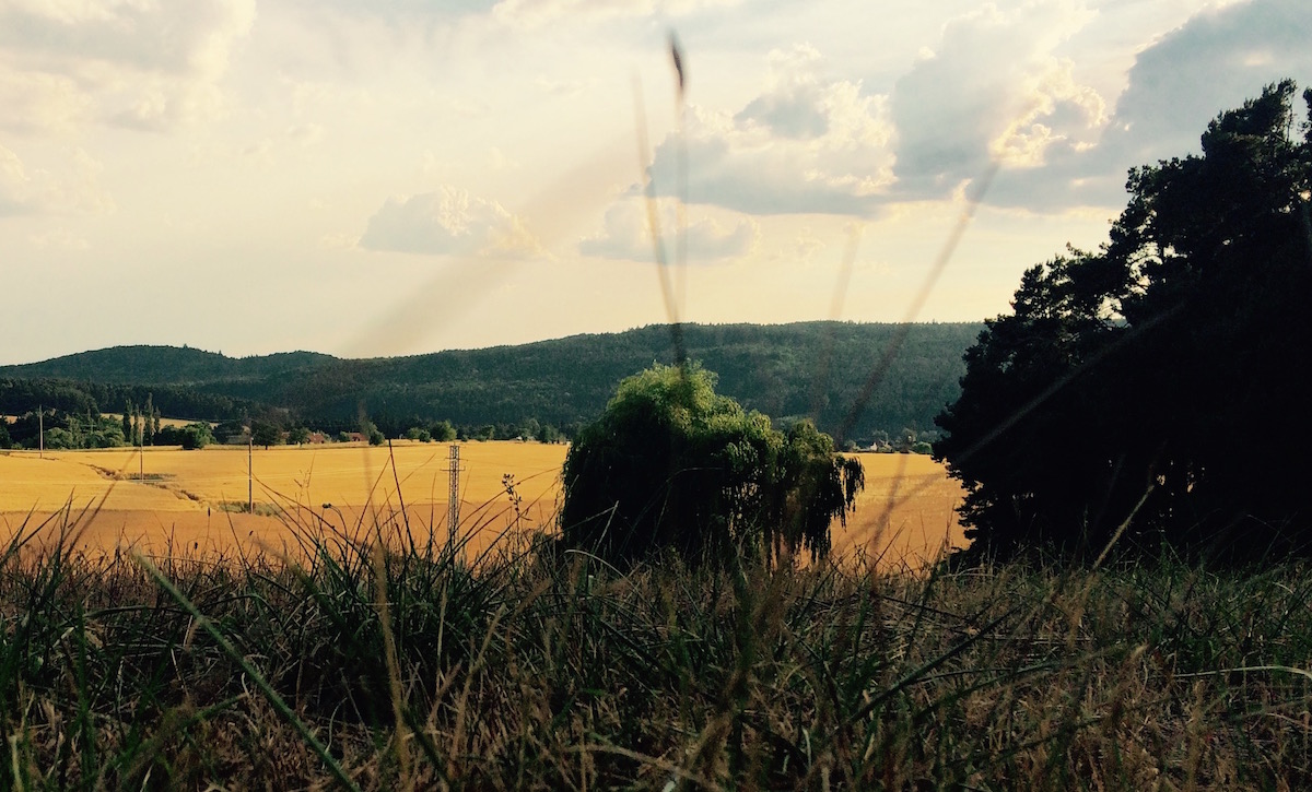 Čižice u Plzně