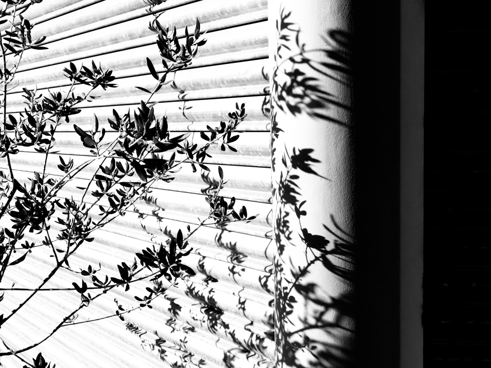 MoML 23. července 2015