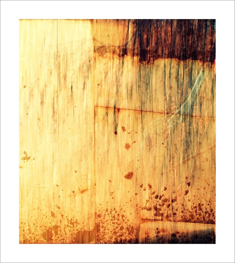 vyrůstám z kořenů III.