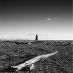 Sejdeme se ve středu a skočíme si do města..