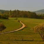 cesta
