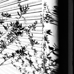 MoML 23. července 2015