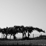 formace