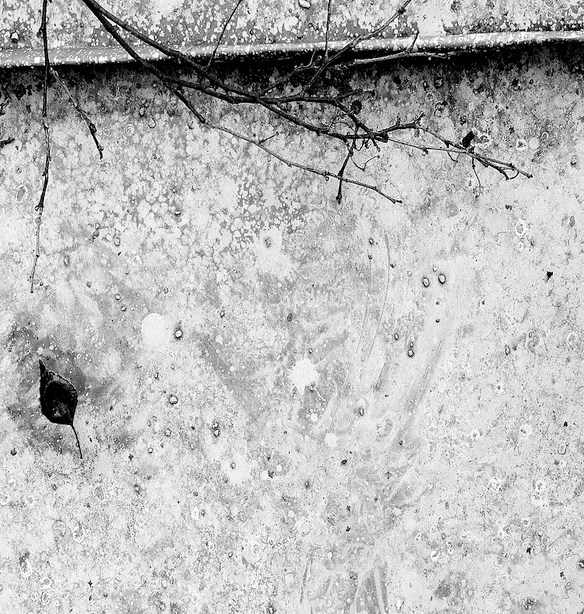 Opustíš-li mne, nezahynu. Opustíš-li mne, zahyneš