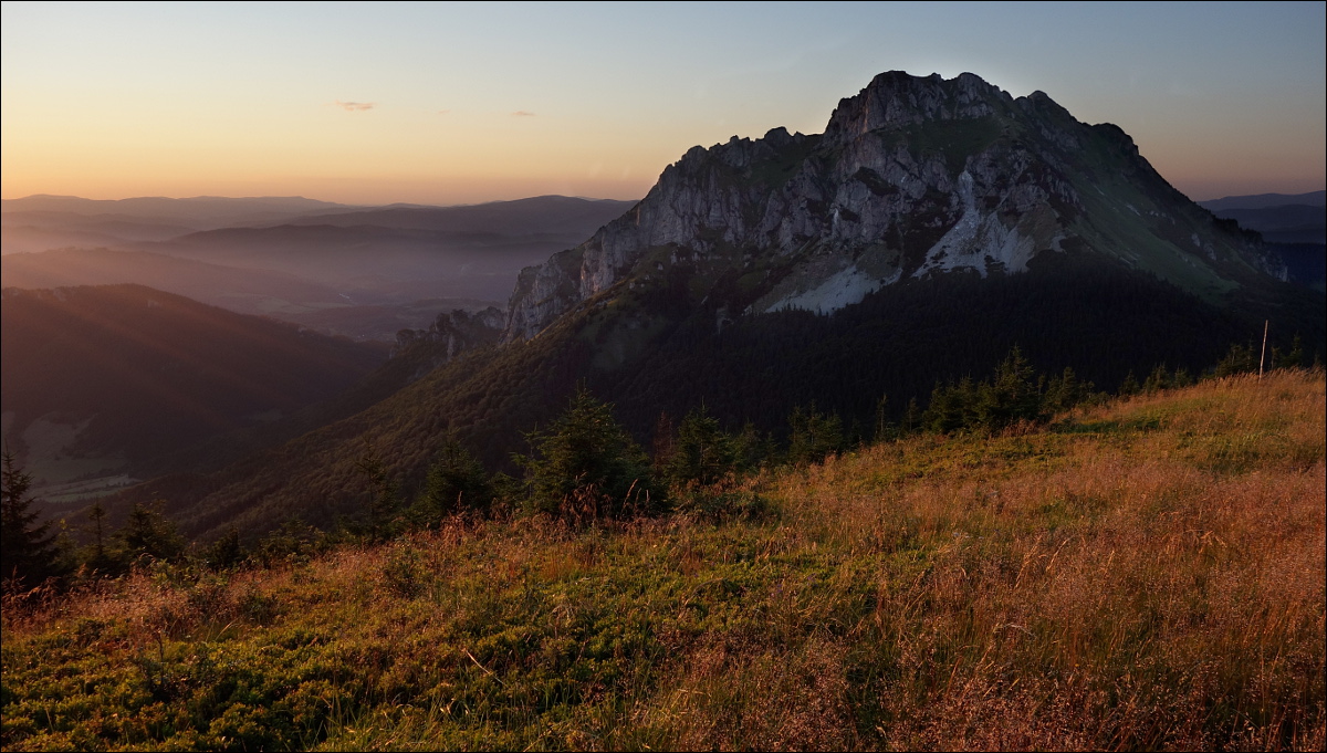 Fatra