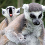 Někdo by tu spinkal