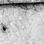 Opustíš-li mne, nezahynu. Opustíš-li mne, zahyneš