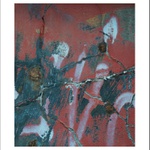 král do boje táh....